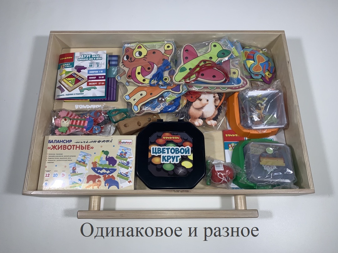 Модуль 7 Одинаковое и разное