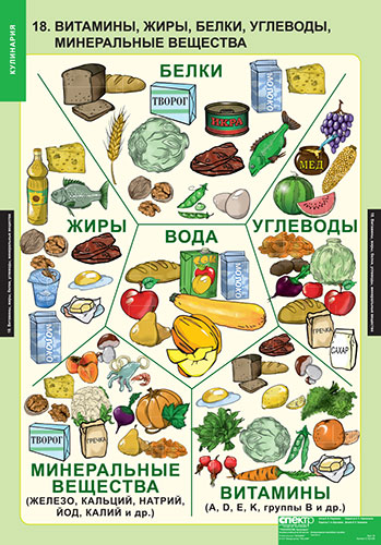 18_vit