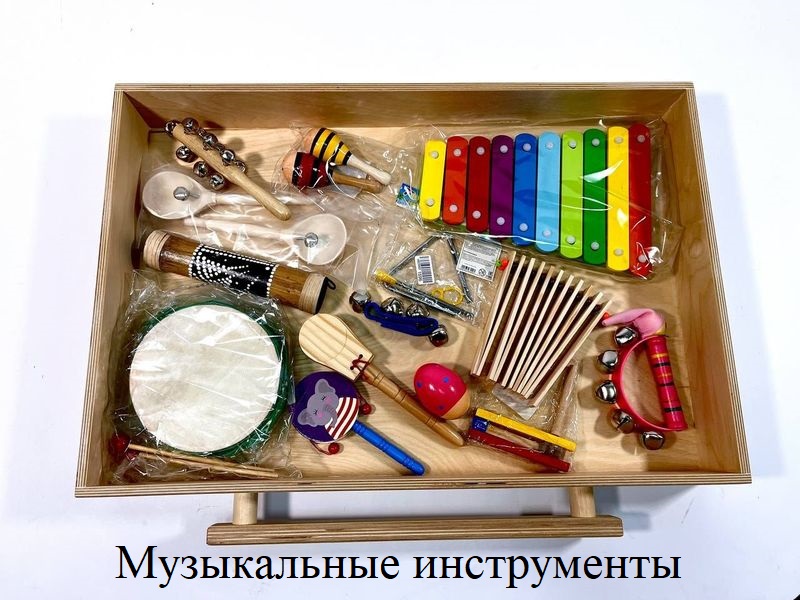 Модуль 4 «Музыкальные инструменты»_1