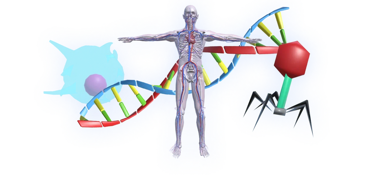objectsimganatomy