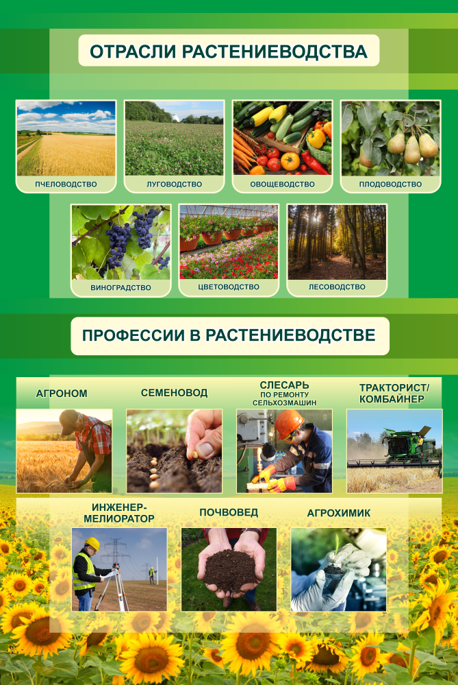 ШК-4060_Отрасли растениеводсва_0,8х1,2