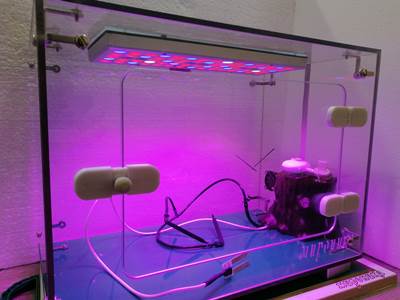 Smart garden 400х300