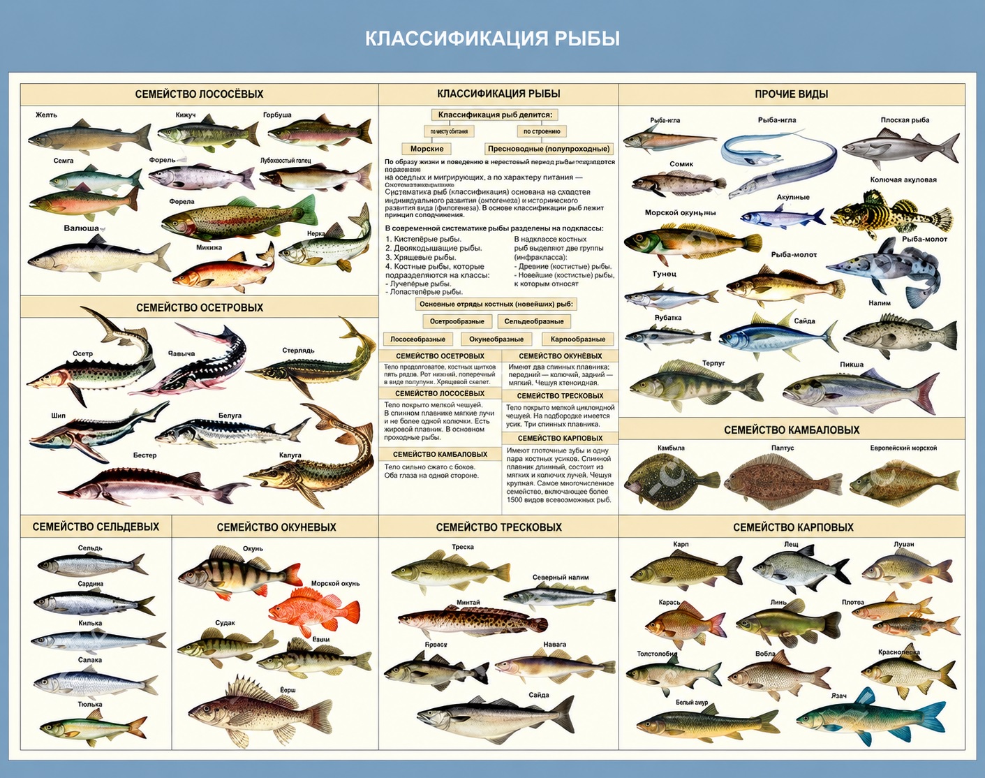 Учебно-демонстрационный стенд по аквакультуре