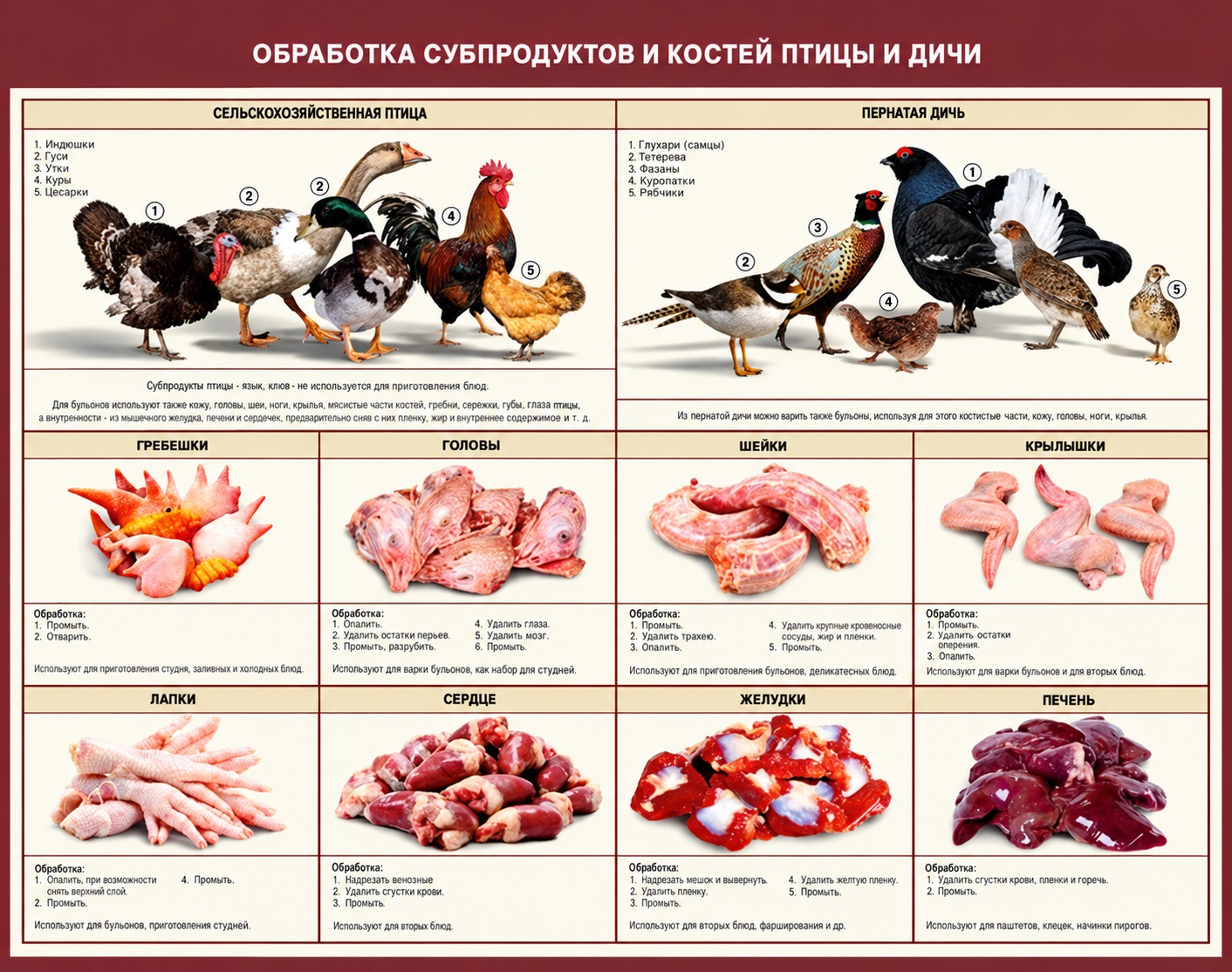 Стенд «Обработка субпродуктов и костей птицы и дичи»