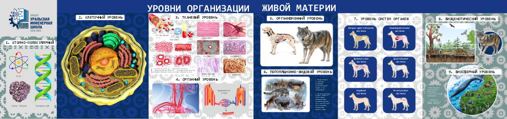ШК-4164_УИШ_Уровни организации живой материи_3х0,7