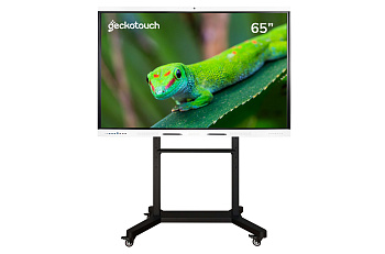 Интерактивный программно-аппаратный комплекс РК (Geckotouch RK)